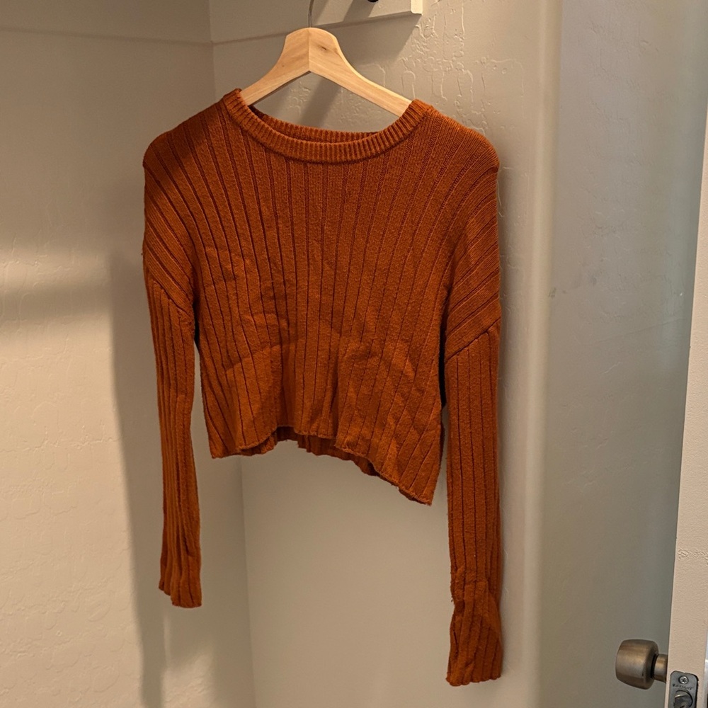 Forever 21 Rust Ribbed Cropped Sweater